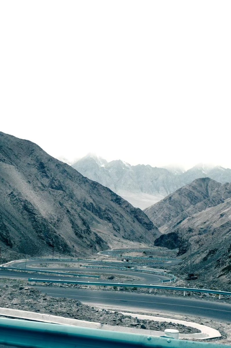 桃桃想睡觉🌟（互fo必回） tweet media