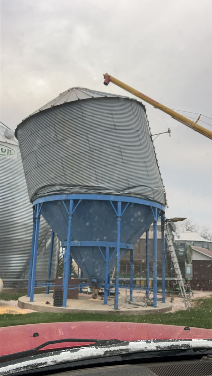 Dan Jones tweet media