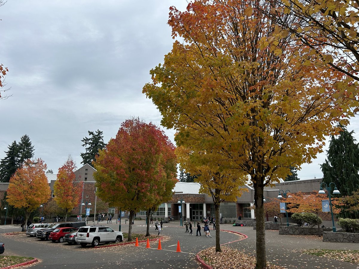 DiscoWhipple's tweet photo. November fall leaves at Discovery! https://t.co/XlE9rw52ff