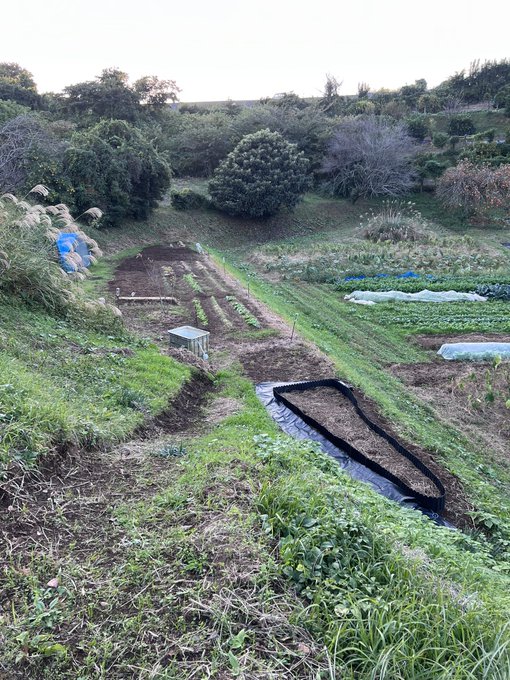 昨日、畑の草むしり5時間して手は痛くなるわ腰痛くなるわ体のダメージ凄いのに、綺麗になる快感芽生えて、他のところむしりに行きたくなっちゃう衝動😂なにこれw https://t.co/oWRXNctuIY