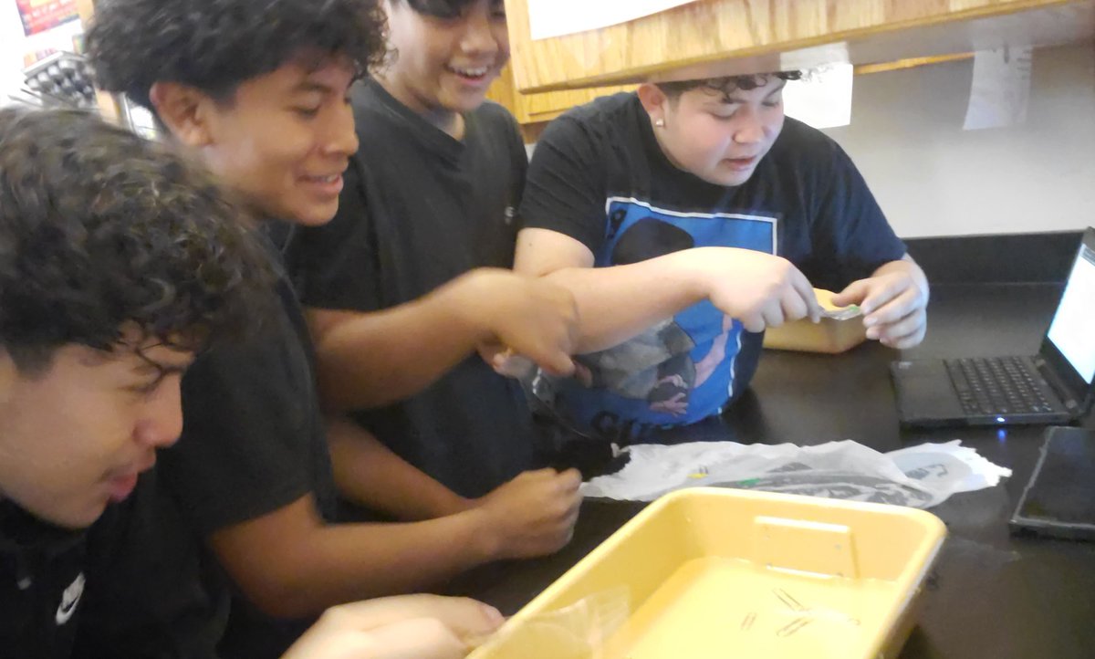 MsKogut's tweet photo. Having too much fun with the water station lab 💙 #biology #cohesion #polarity #hydrogenbonding #capillaryaction https://t.co/2gecdUcvCO