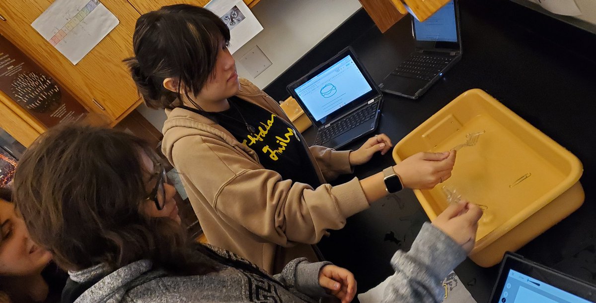 MsKogut's tweet photo. Having too much fun with the water station lab 💙 #biology #cohesion #polarity #hydrogenbonding #capillaryaction https://t.co/2gecdUcvCO