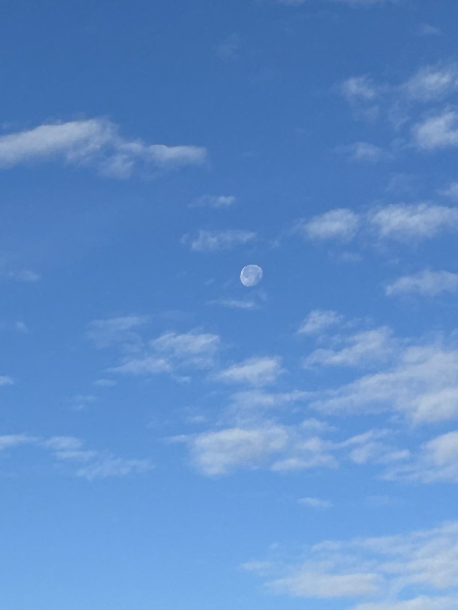 WalkInLight777's tweet photo. Enoch 77:10-11

And Uriel showed me another law: when light is transferred to the moon, and on which side it is transferred to her by the Sun.

#LesserLight
#Waning
#Partiality

During all the period during which the moon is growing in her light, she is transferring it to herself https://t.co/NV1GzcvOjs