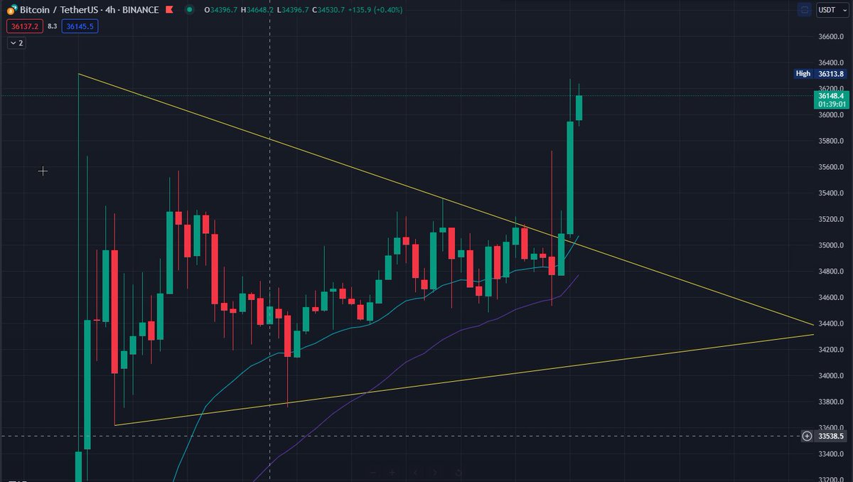 Richy 🐈 tweet media