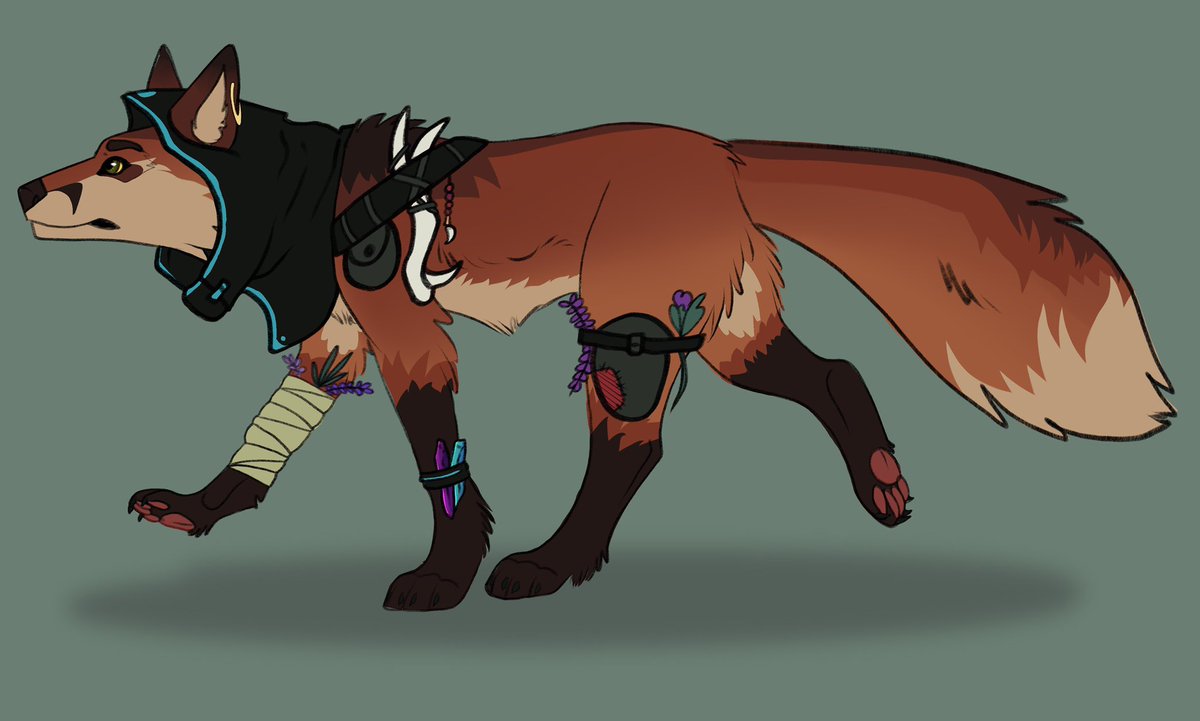 Fox #adoptable 20$ obo