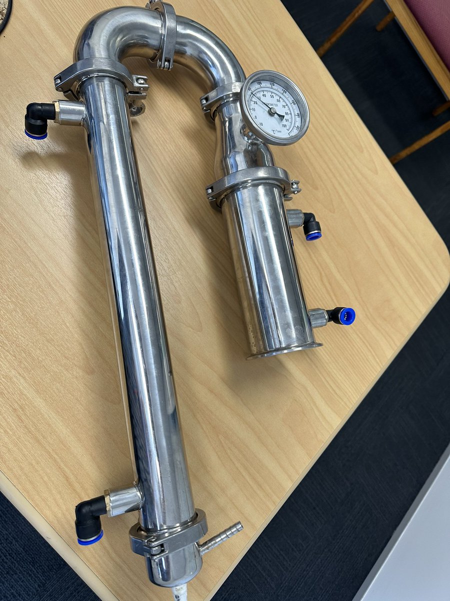 ⭕️🦎💚🌶 Ding 🌶💚🦎⭕️ tweet media