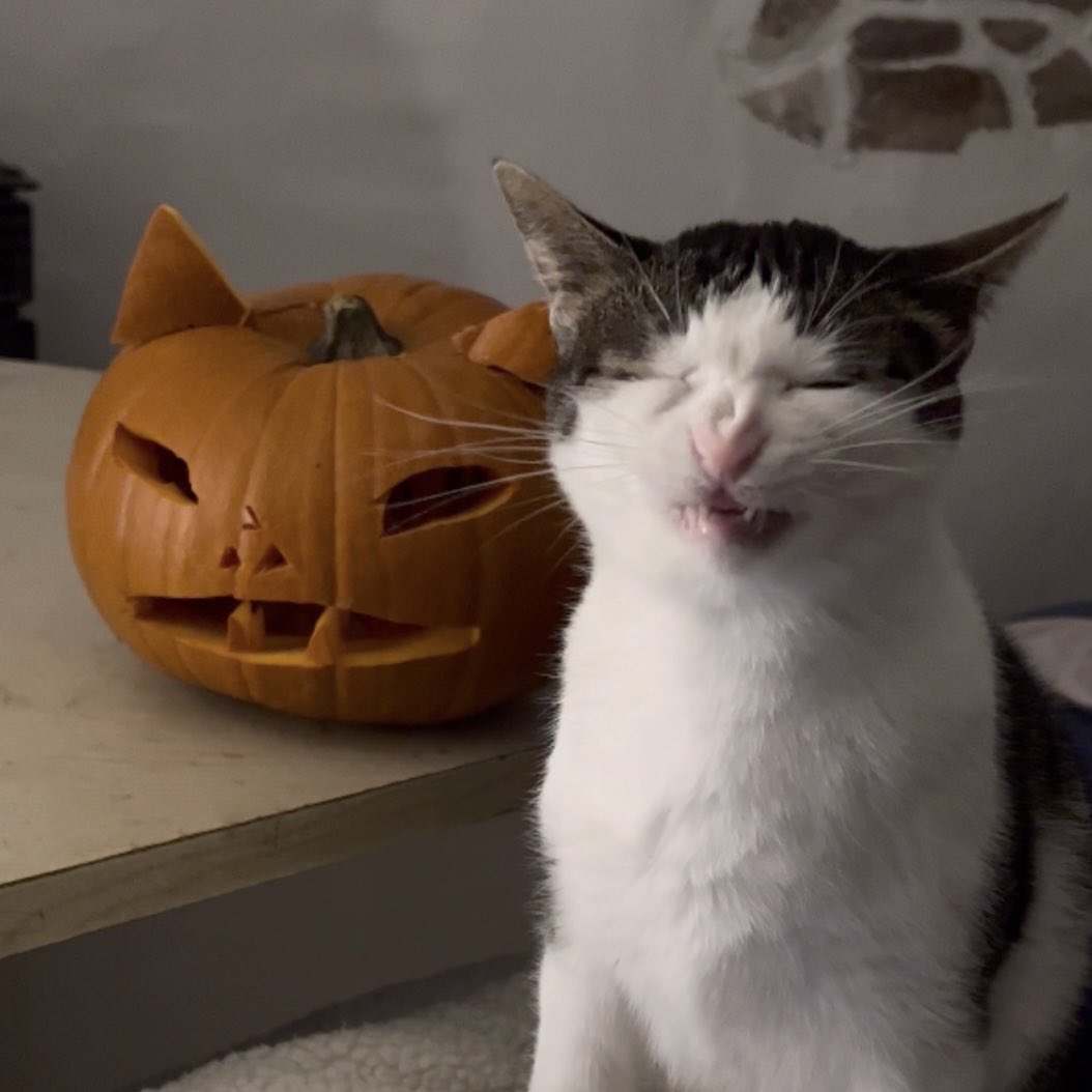 monkeycatluna's tweet photo. Crunchyween https://t.co/HKg9fk1bL0