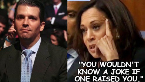 Couldn’t pass this one up! #DonaldTrumpJr #KamalaHarris #VoteBlueToSaveAmerica