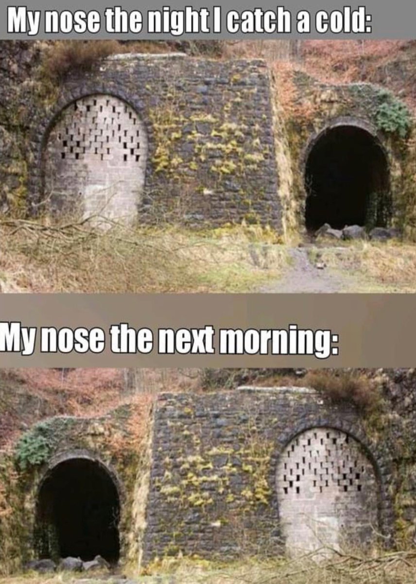 InsertShittyPun's tweet photo. @HumansNoContext @HumansNoContext https://t.co/19BWuML972