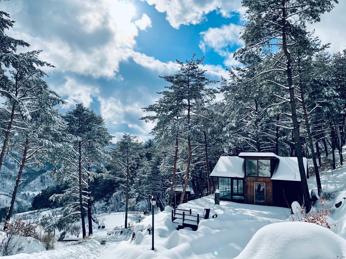 ideabox7's tweet image. 숲캉스 제대로 할 수 있는 숙소 - ALLTHATTRAVEL - go.shr.lc/3So3cqU