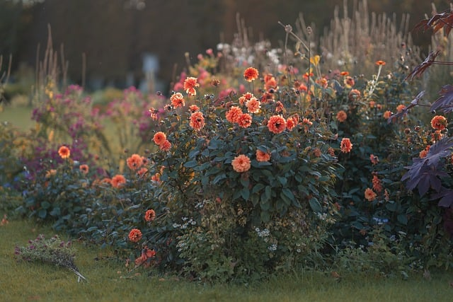 PearleWyan33558's tweet photo. Flowers help people raise up!

Do you agree with me?
#flowers https://t.co/1hCjrDumEi
