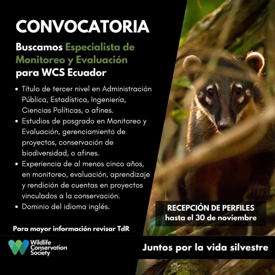 #ConvocatoriaAbierta 🤩 | ¡Únete a nuestro equipo! 😉
📧 Aplicar a la posición: bit.ly/3MmzCP1
💻 Completar el formulario obligatorio: bit.ly/formespmye
🗓 Cierre de convocatoria: Jueves, 30 de noviembre, 2023
🖐 #JuntosPorLaVidaSilvestre 💚💙 #WeStandForWildlife