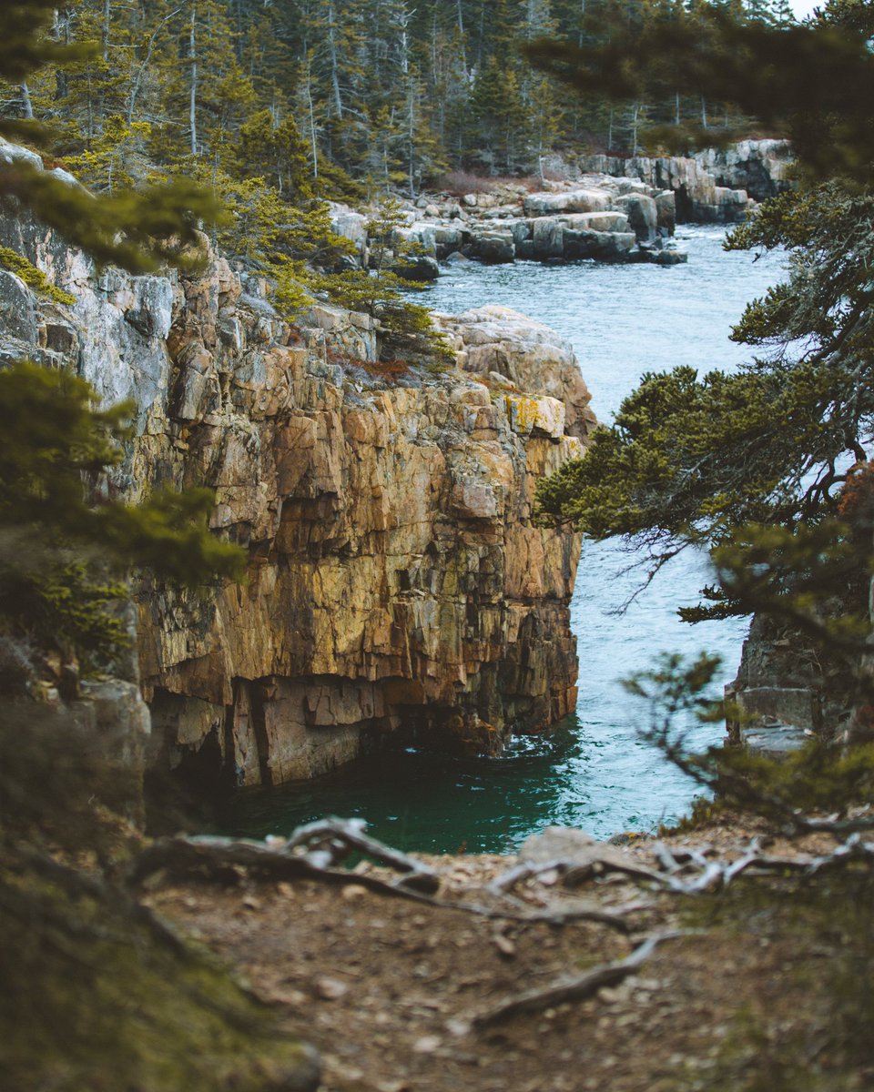 the vibe was immaculate 👌🏽