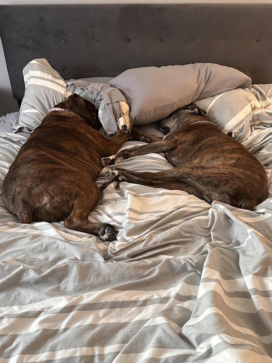 Melissa Sinclair tweet media