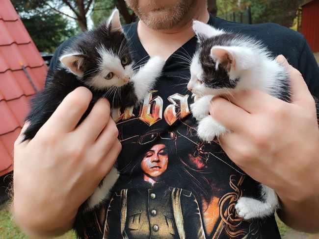 Nie mamy nawet połowy potrzebnej kwoty 😭

Oderwane od matki, chore i głodne. Kalmia i Amaryl proszą o wsparcie!

ratujemyzwierzaki.pl/kalmia-i-amary…