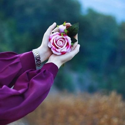 Marissa Gougeon tweet media