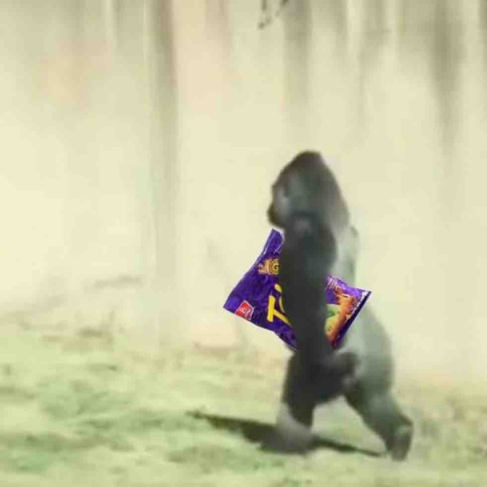 Guarromantico_'s tweet photo. Yo yendo a encerrarme a mi cuarto para ver películas: https://t.co/bUehNZ5XFs