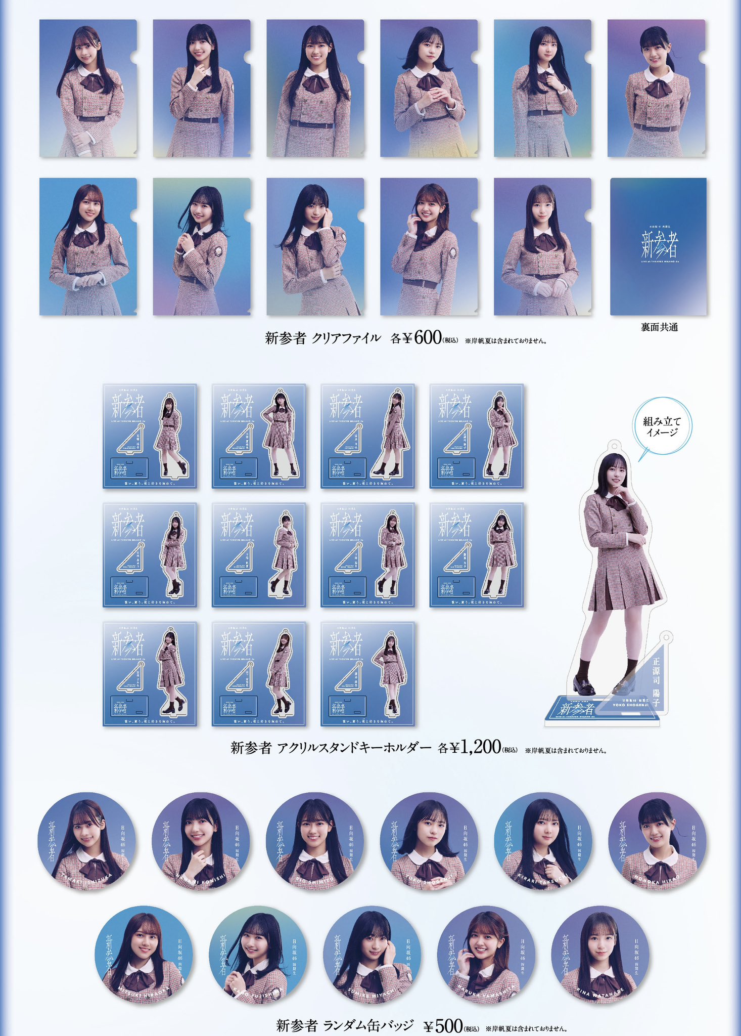 ラバーキーホルダーBOXセット(全22種) 【@Loppi・HMV限定】 : 日