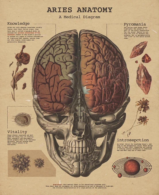 Vintage Zodiac Medical Diagrams: 
Aries &amp; Taurus (1/6) 