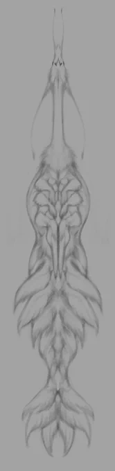 Little shrimp dragons, for your enjoyment (I'm gonna redesign the teeth) 