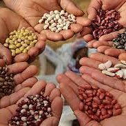 tolga ayter tweet media