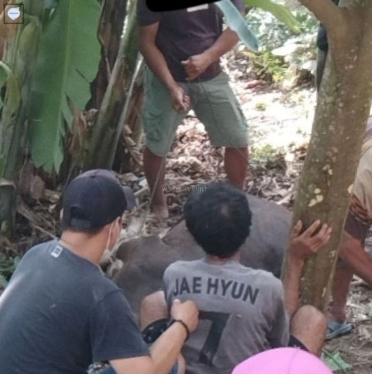 pda ngapain si? <a href="/rofmeov/">adit , jfb!</a> @_jungjeff <a href="/jancojk/">Yowe Galerio</a> <a href="/JAEHYUNSSl/">Jeong J.</a> <a href="/brisbavne/">Anne.</a> <a href="/brbipka/">N</a> <a href="/jathyuen/">Joelle</a>