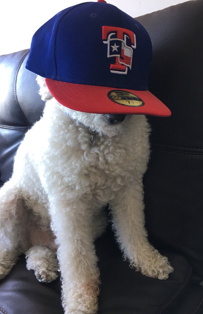 This one’s for you, Pudge Rodge-riguez. Miss watching the @Rangers with this ball of fluff. #GoAndTakeIt