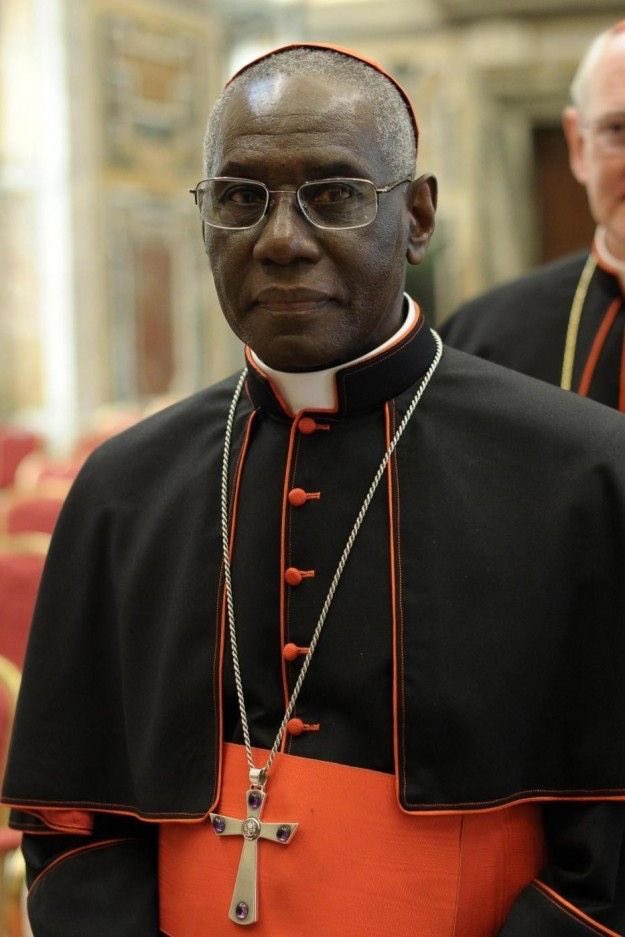 johndaviesclar1's tweet photo. Le cardinal Sarah qualifie le discours migratoire du Pape de "Catéchisme de l'impasse & des égarements que les vents mauvais de certains Diables soufflent parfois à l'oreille des vieux prélats"
#HDPros #GGRMC #DirectAN #TPMP #marchecontrelantisemistisme https://t.co/pYwyTwQkk1