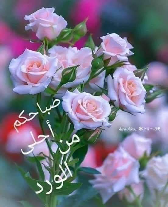 sa4809827's tweet photo. تذكر أن النجاح ثمرة التخطيط والسعي والإصرار على تحقيق الأهداف، بعد توفيق الله. https://t.co/v6KiVYIGq7
