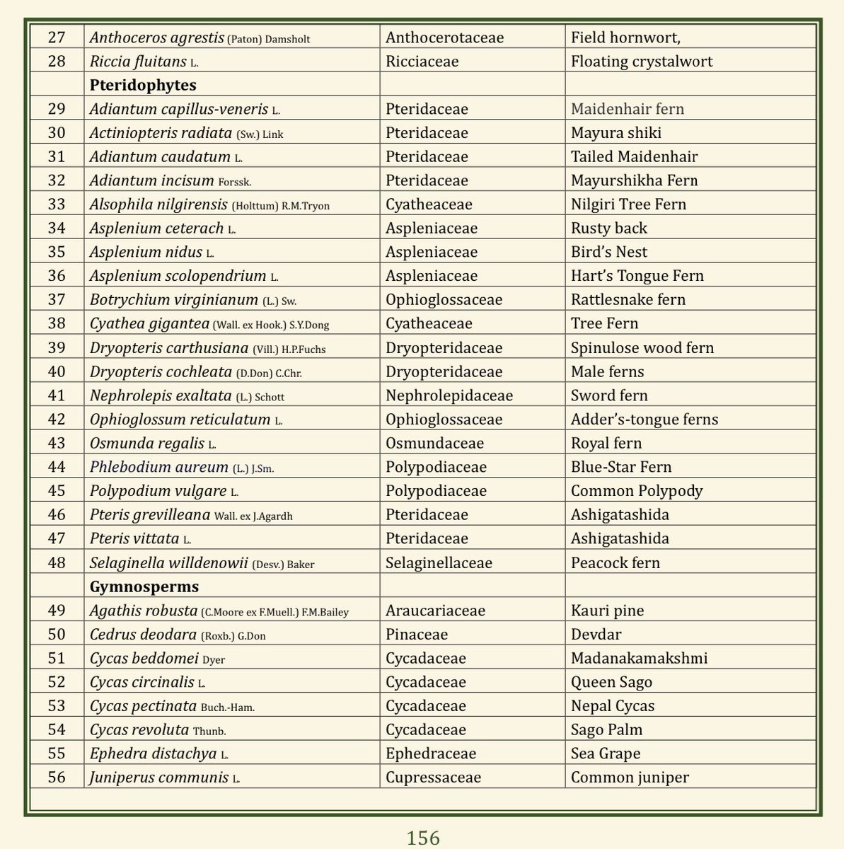 GCSReddy_IFS's tweet photo. (59/75) EVOLUTION OF PLANT KINGDOM
@TSFDCL
@HarithaHaram
@FCRIHyderabad
@TelanganaCMO
@PMOIndia
@bsi_moefcc
@bgci
@UNBiodiversity
@FAOclimate
@UNEP
@RoyalBotanical
@IcfreIndia
@RoyalBotanical
@TreesforCities https://t.co/3n5cA0hGAl