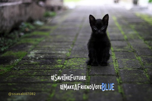 time4kind's tweet photo. #SpaceKittens will Save those who
.                    #MakeAFriendVoteBLUE! https://t.co/d9689EreMD