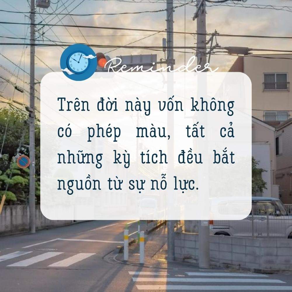 VuongLong23's tweet photo. https://t.co/aH6eJocVvd
