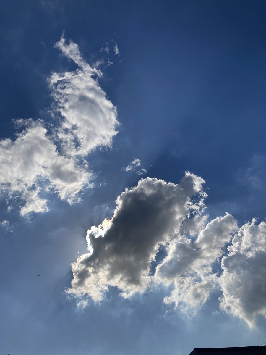 儚いか　入道雲が青と白　隙間から出る少年の夏

＃短歌　#短歌写真部