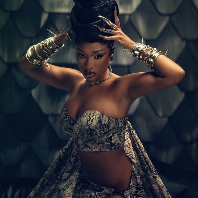 stallionaccess's tweet photo. New promotional photo of Megan Thee Stallion ahead of her new single, “Cobra.” 🐍

https://t.co/YqKTmDQLxQ https://t.co/9aHD1vaG4E