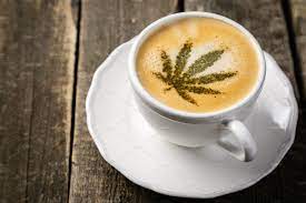 random_snakes's tweet photo. #ToDealWithStress Try an herbal remedy! 🌿🤪🐍 https://t.co/Efwv0okG6f