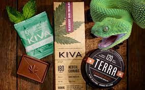 random_snakes's tweet photo. #ToDealWithStress Try an herbal remedy! 🌿🤪🐍 https://t.co/Efwv0okG6f