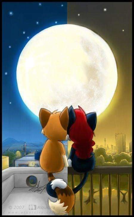 Rindy Russell (@rindy_russell) on Twitter photo Praying that everyone had a wonderful Wednesday!Nighty night my loves!🌌🌕🌌<a href="/Pennyyo79/">Penny York</a> <a href="/Tait1Kathy/">Kathy Tait</a> <a href="/PustorinoGina/">GinaPustorino🌹🍄</a> <a href="/GiniKutter/">Gini Kutter</a> <a href="/MakkOlga/">♥𝕺𝖑𝖌𝖆 ♥</a> <a href="/fulvia14130533/">Fulvia ☮️🏳️🌈</a> <a href="/GalkeSabine/">Sabine Galke🍄</a> <a href="/GGianniottifan/">Cynthia P Thomas 🍄</a> <a href="/edie_rische/">📚📖EdieR📖📚</a> <a href="/SanjaHirkic/">Sanja Hirkic</a> <a href="/BarssFreddie/">freddie barss</a> <a href="/mary_markssngr/">🎄Mary E. Anderson 🎄</a> <a href="/Erasergirl1/">Bitz with a B! 🇺🇸🦅🇺🇸📚🌼🌼🌼</a> <a href="/GinaPustor123/">gina Pustorino🌺🍄</a> <a href="/JGreen116/">JillGreen1</a> Praying that everyone had a wonderful Wednesday!Nighty night my loves!🌌🌕🌌<a href="/Pennyyo79/">Penny York</a> <a href="/Tait1Kathy/">Kathy Tait</a> <a href="/PustorinoGina/">GinaPustorino🌹🍄</a> <a href="/GiniKutter/">Gini Kutter</a> <a href="/MakkOlga/">♥𝕺𝖑𝖌𝖆 ♥</a> <a href="/fulvia14130533/">Fulvia ☮️🏳️🌈</a> <a href="/GalkeSabine/">Sabine Galke🍄</a> <a href="/GGianniottifan/">Cynthia P Thomas 🍄</a> <a href="/edie_rische/">📚📖EdieR📖📚</a> <a href="/SanjaHirkic/">Sanja Hirkic</a> <a href="/BarssFreddie/">freddie barss</a> <a href="/mary_markssngr/">🎄Mary E. Anderson 🎄</a> <a href="/Erasergirl1/">Bitz with a B! 🇺🇸🦅🇺🇸📚🌼🌼🌼</a> <a href="/GinaPustor123/">gina Pustorino🌺🍄</a> <a href="/JGreen116/">JillGreen1</a>