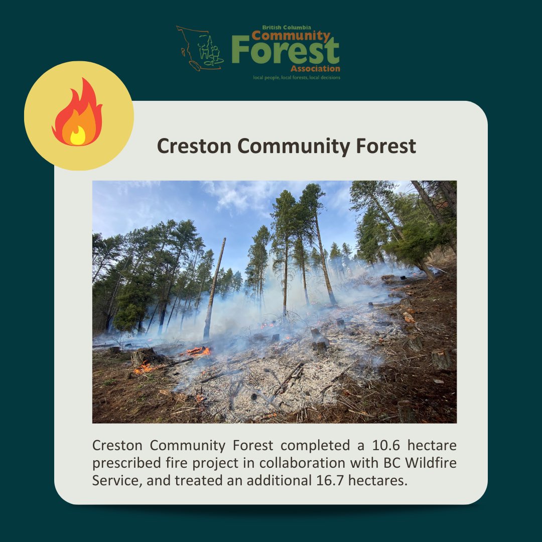 BC_CFA's tweet photo. Featuring Creston #CommunityForest 🔥 CCF completed a 10.6 hectare prescribed fire project in collaboration with @BCGovFireInfo and treated an additional 16.7 hectares. For more info visit https://t.co/F9c2u1SGgU https://t.co/y0FHoUbomU