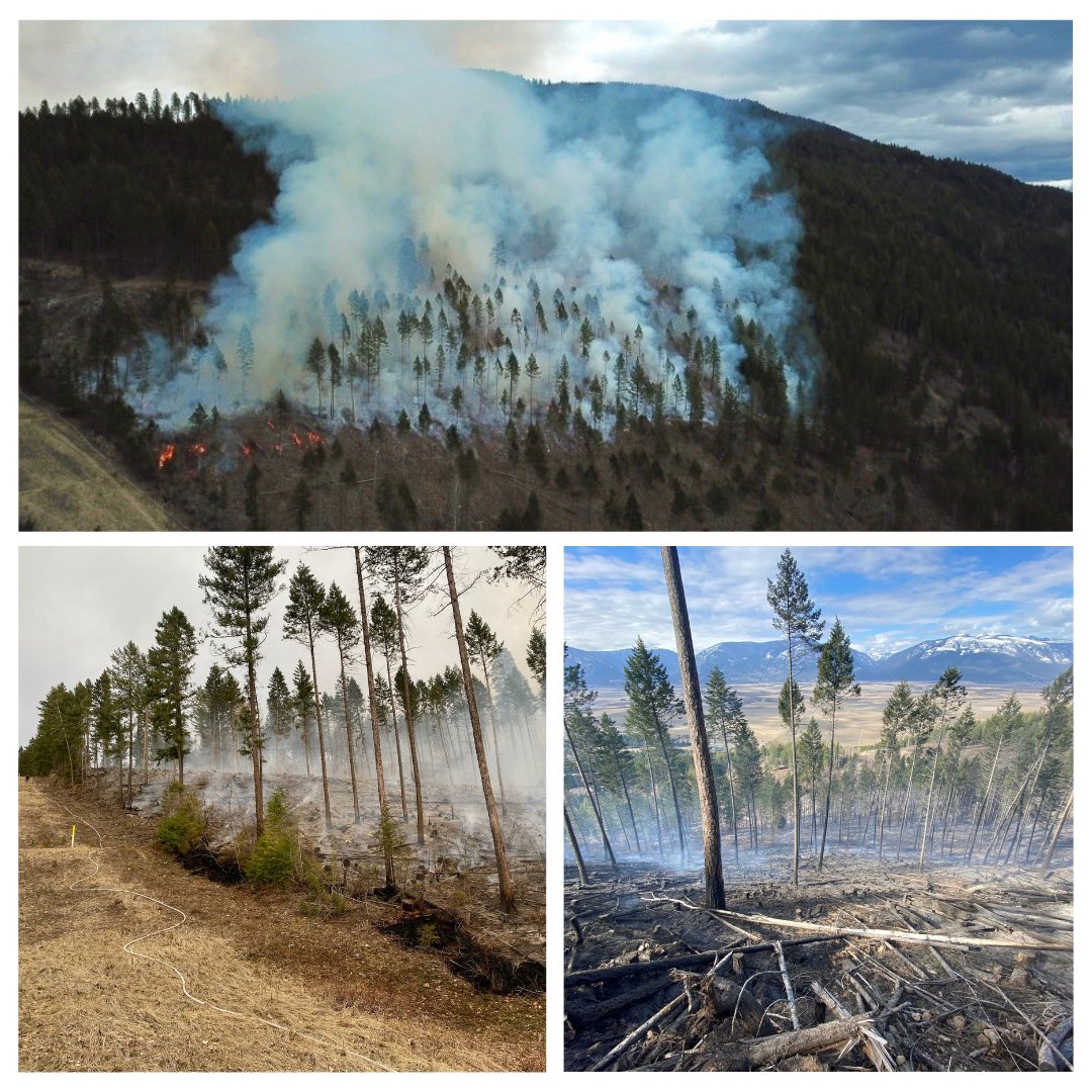 BC_CFA's tweet photo. Featuring Creston #CommunityForest 🔥 CCF completed a 10.6 hectare prescribed fire project in collaboration with @BCGovFireInfo and treated an additional 16.7 hectares. For more info visit https://t.co/F9c2u1SGgU https://t.co/y0FHoUbomU
