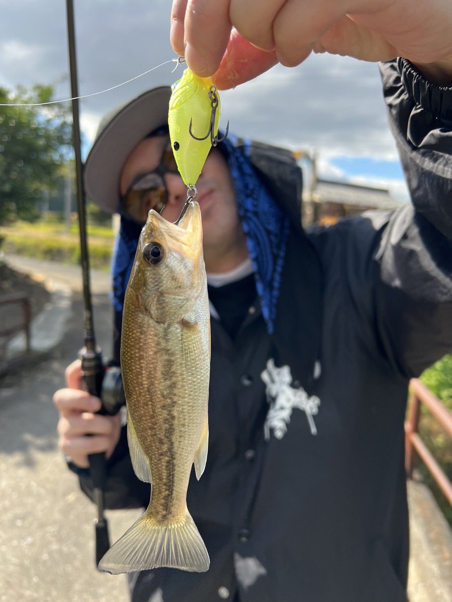 スケジュールの1部に変更がありましたので上げ直しでございます