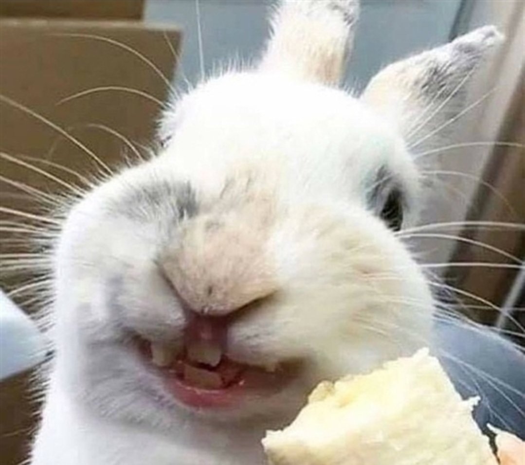 Linnete_Kim's tweet image. Hai kakak ≖‿≖