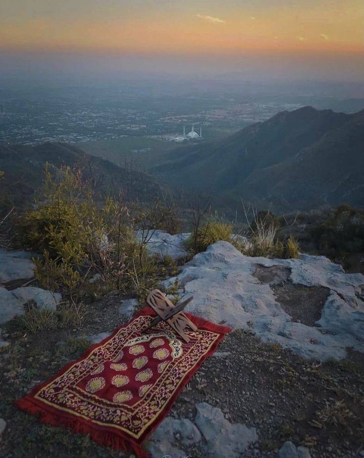 " والله لو عَلِمَ العبادُ ما عند ربّهم من الفضل والكرم، لما قبضوا أكفّهم عن الدعاء أبدًا "🤍💯🤲