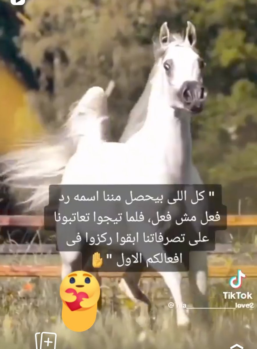 ادهم مصطفى tweet media