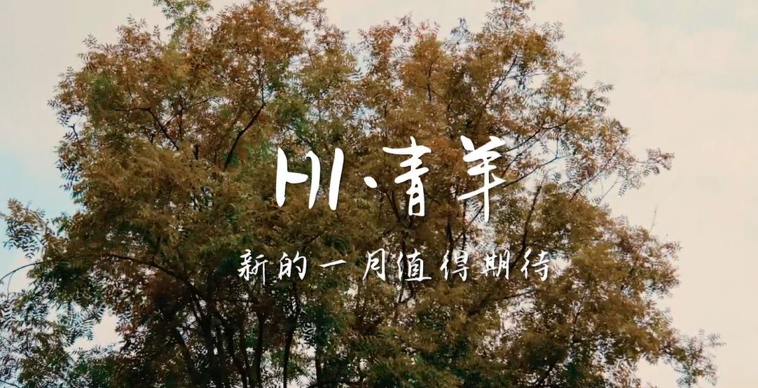 Mr.QingYang tweet media