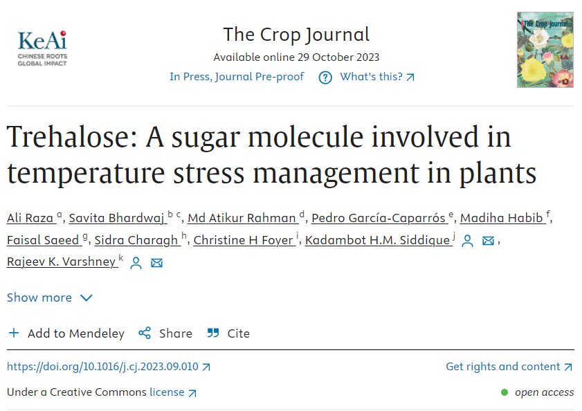 Ali Raza (@ale_raza6) on Twitter photo Happy to share our new #OA review "#Trehalose: A #sugar molecule involved in #temperature stress❄️🔥management in #plants🌾🪴" in Crop J <a href="/ELSenviron/">Elsevier Environment</a>🤩together with <a href="/SavitaB78112443/">Savita Bhardwaj</a> <a href="/atikurbt/">Atikur Rahman</a> <a href="/faissalsaeed/">Faisal Saeed</a> <a href="/SiDDMaliCk/">Sidra Charagh</a> <a href="/c_foyer/">Christine Foyer</a> <a href="/KadambotS/">Kadambot Siddique</a> <a href="/rajvarshney/">Rajeev Varshney FRS</a>💯🆒
🔗sciencedirect.com/science/articl… Happy to share our new #OA review "#Trehalose: A #sugar molecule involved in #temperature stress❄️🔥management in #plants🌾🪴" in Crop J <a href="/ELSenviron/">Elsevier Environment</a>🤩together with <a href="/SavitaB78112443/">Savita Bhardwaj</a> <a href="/atikurbt/">Atikur Rahman</a> <a href="/faissalsaeed/">Faisal Saeed</a> <a href="/SiDDMaliCk/">Sidra Charagh</a> <a href="/c_foyer/">Christine Foyer</a> <a href="/KadambotS/">Kadambot Siddique</a> <a href="/rajvarshney/">Rajeev Varshney FRS</a>💯🆒
🔗sciencedirect.com/science/articl…