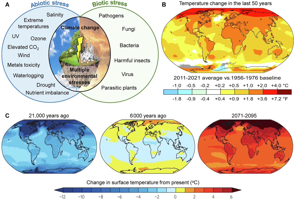 Ali Raza (@ale_raza6) on Twitter photo Effect of #ClimateChange and global #warming on changes in #environmental stress🔥🌤️❄️💧🫧🌊
🖇️sciencedirect.com/science/articl…
<a href="/AbioticStress/">Abiotic stress in plants (Green Survivors)</a> <a href="/Stressed_plants/">Stressed (Abiotic/Biotic) Plants</a> <a href="/MPlantPCom/">Molecular Plant & Plant Communications</a> <a href="/crop_design/">Crop_Design</a> <a href="/ClimateActionSN/">npj Climate Action</a> <a href="/FAOclimate/">FAO Climate Change & Biodiversity</a> <a href="/UNFCCC/">UN Climate Change</a> <a href="/CGIARclimate/">CGIAR | Climate Impact Platform</a> <a href="/NASAClimate/">NASA Climate</a> <a href="/AgNews/">AgriNews</a> <a href="/BRiC_ISP/">Building Robustness in Crops</a> <a href="/sci_plant/">Plant Science</a> <a href="/UN_SDG/">UN Sustainable Development Group 🇺🇳</a> Effect of #ClimateChange and global #warming on changes in #environmental stress🔥🌤️❄️💧🫧🌊
🖇️sciencedirect.com/science/articl…
<a href="/AbioticStress/">Abiotic stress in plants (Green Survivors)</a> <a href="/Stressed_plants/">Stressed (Abiotic/Biotic) Plants</a> <a href="/MPlantPCom/">Molecular Plant & Plant Communications</a> <a href="/crop_design/">Crop_Design</a> <a href="/ClimateActionSN/">npj Climate Action</a> <a href="/FAOclimate/">FAO Climate Change & Biodiversity</a> <a href="/UNFCCC/">UN Climate Change</a> <a href="/CGIARclimate/">CGIAR | Climate Impact Platform</a> <a href="/NASAClimate/">NASA Climate</a> <a href="/AgNews/">AgriNews</a> <a href="/BRiC_ISP/">Building Robustness in Crops</a> <a href="/sci_plant/">Plant Science</a> <a href="/UN_SDG/">UN Sustainable Development Group 🇺🇳</a>
