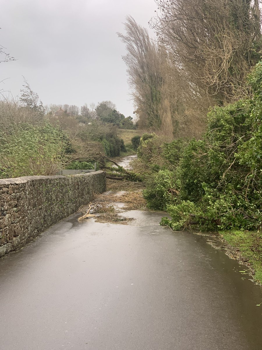 Warning: Two of my trees have come down blocking Le Chemin du Radier and Cache Simonet. I am on the list to have them cleared.