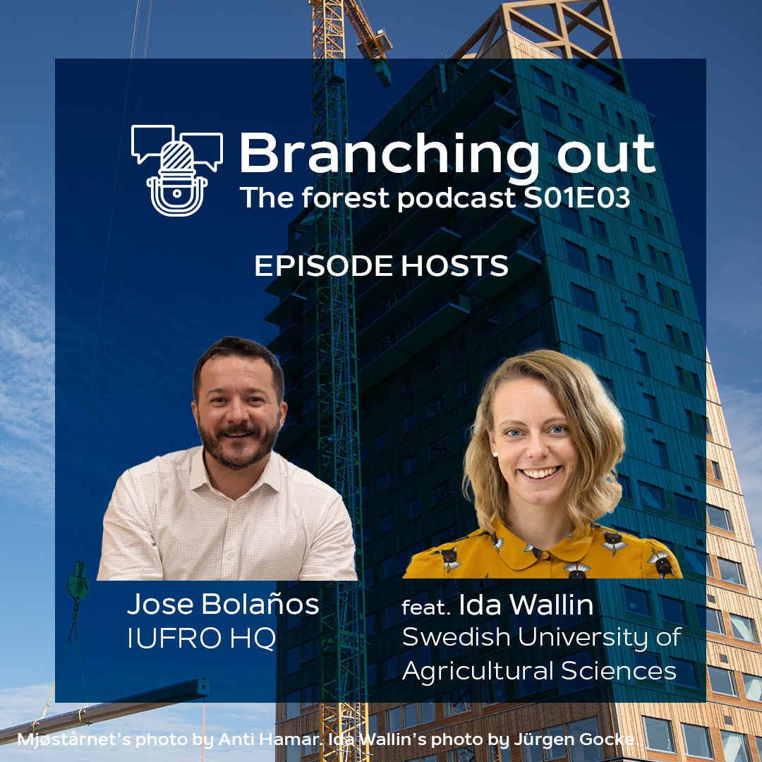 IUFRO's tweet image. 🎙️ We are busy producing the 4️⃣ episode of #BranchingOut the #forest #podcast, and while you wait for it to come out, tune in 🎧 to previous episodes, e.g. on forest #bioeconomy cohosted by @IdaKWallin from @SLUglobal1
🔗 spoti.fi/3Kzq69l
🔗 apple.co/3UAa0B1