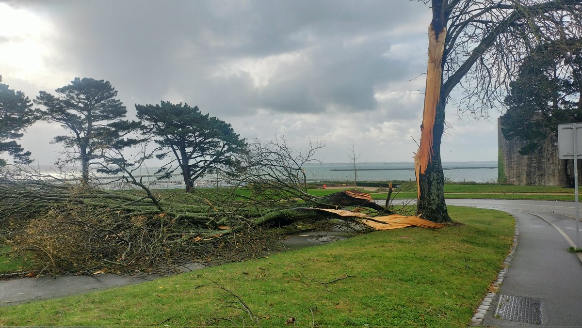 OuestFrance29's tweet photo. Dans les rues de Brest, les dégâts matériaux et végétaux commencent à s'accumuler. #StormCiaran #Brest https://t.co/9UNy96EQA0