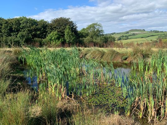We have 2 exciting vacancies going live <a href="/FWAGSouthWest/">FWAG SouthWest</a> today!
A Farm Environment Adviser for our <a href="/hillstolevels/">HillsToLevels</a> project and a Natural Flood Management Adviser working across Somerset.
For job descriptions and how to apply visit fwagsw.org.uk/Pages/Category…